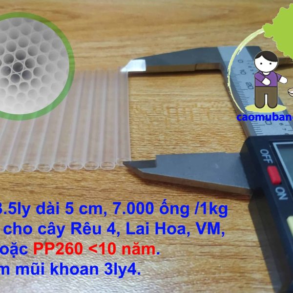 Ống khoan lấy mủ cao su