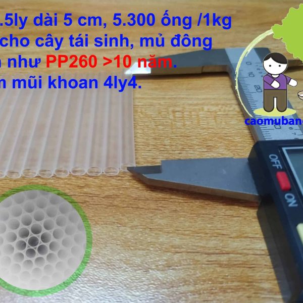 Ống khoan lấy mủ cao su Ống 4.5ly dài 5cm 1kg ≈ 5.300 ống