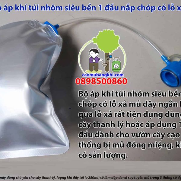 Bộ túi nhôm 200ml nắp chóp lỗ xả cho cây thanh lý -