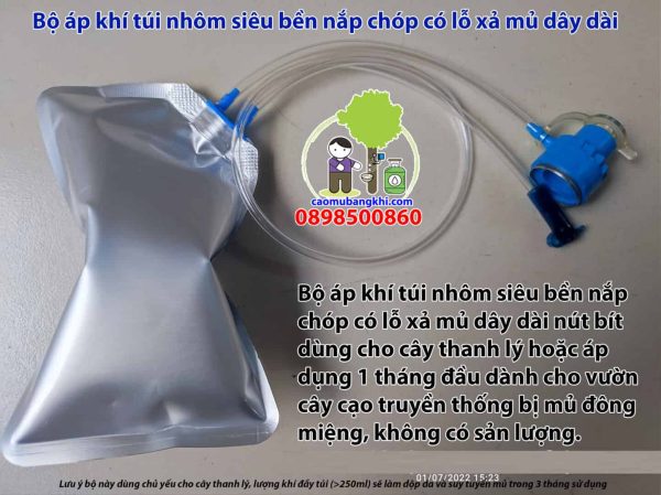 Bộ túi nhôm 200ml nắp chóp lỗ xả nút bít dành cho cây thanh lý