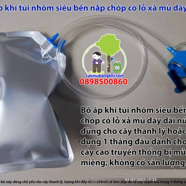 Bộ túi nhôm 200ml nắp chóp lỗ xả nút bít dành cho cây thanh lý